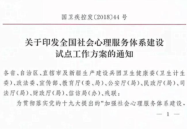 政府对心理健康有什么政策支持吗?